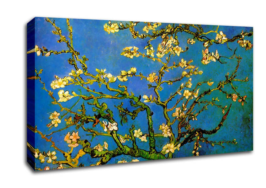 Picture of Van Gogh Blossoming Almond Tree Wide Canvas Wall Art