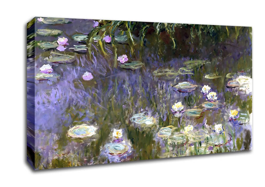 Picture of Monet Water Lilies Wide Canvas Wall Art