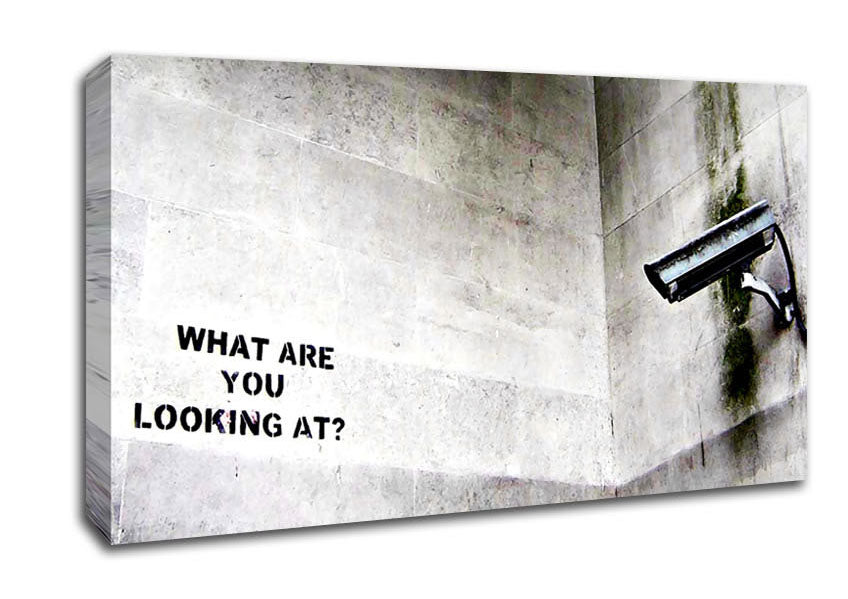 Picture of What Are You Looking At Wide Canvas Wall Art