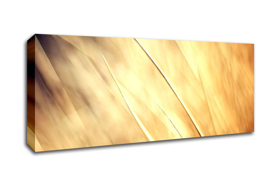 Picture of Autumn Grass Panoramic Canvas Wall Art