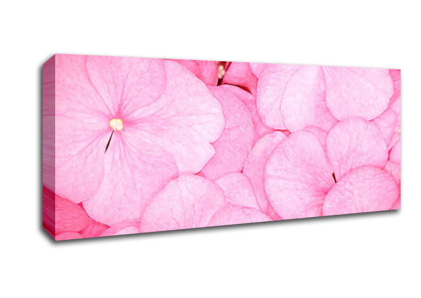 Picture of Bed Of Petals Panoramic Canvas Wall Art