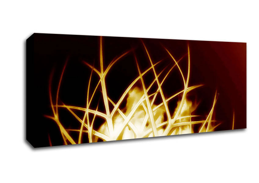 Picture of Caramel Thorns Panoramic Canvas Wall Art