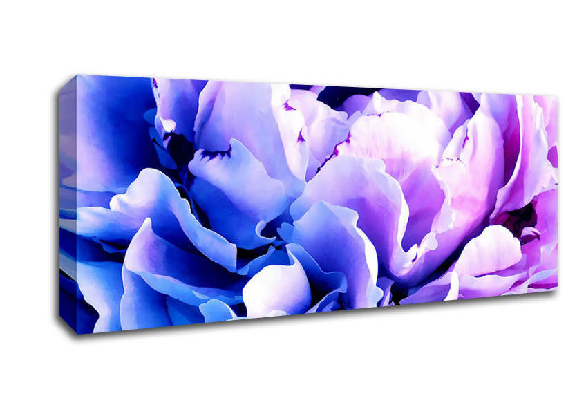 Picture of Carnation Beauty Panoramic Canvas Wall Art