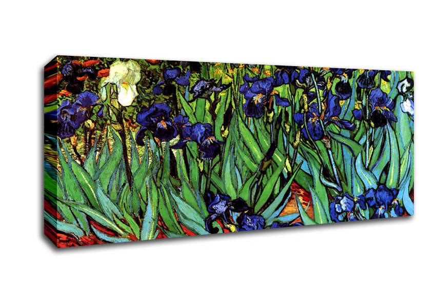 Picture of Van Gogh Irises 2 Panoramic Canvas Wall Art