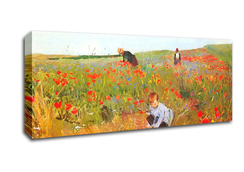 Picture of Cassatt Poppy In The Field Panoramic Canvas Wall Art