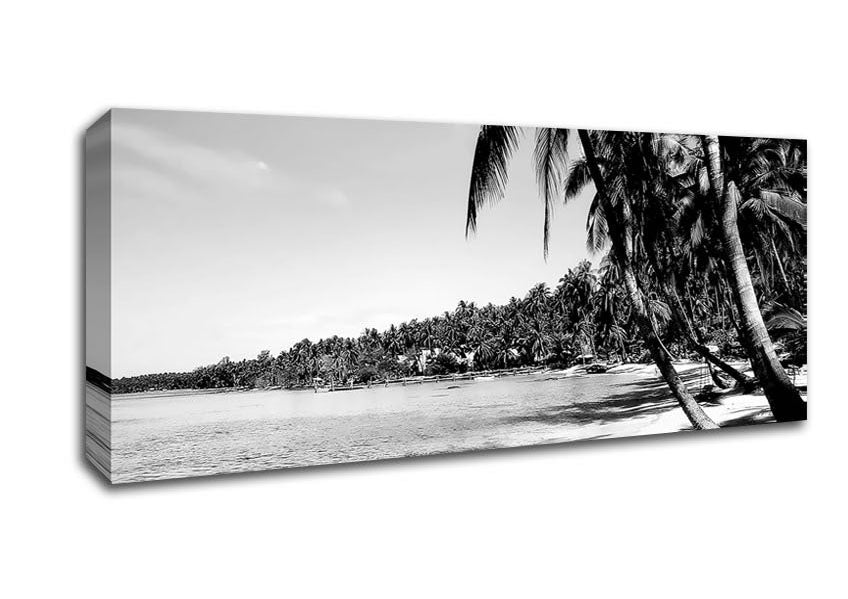 Picture of Beach Palms B n W Panoramic Canvas Wall Art