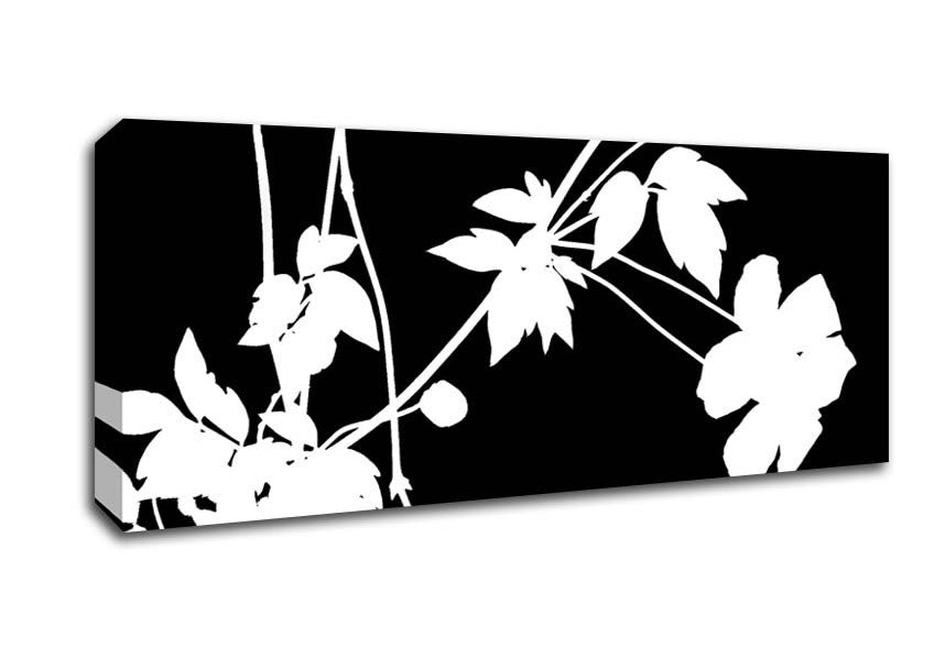 Picture of Garden Delight White On Black Panoramic Canvas Wall Art