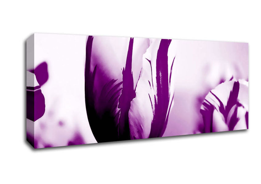 Picture of Gem Of A Tulip Purple Panoramic Canvas Wall Art