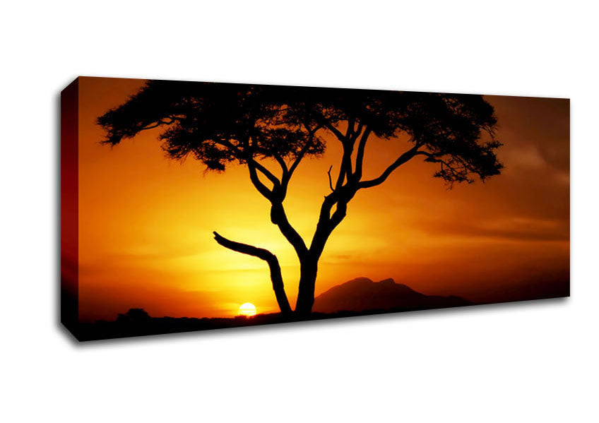 Picture of African Tree In Golden Sunlight Panoramic Canvas Wall Art