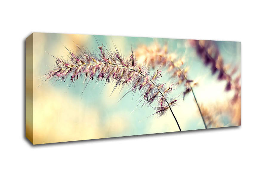 Picture of All Along Panoramic Canvas Wall Art