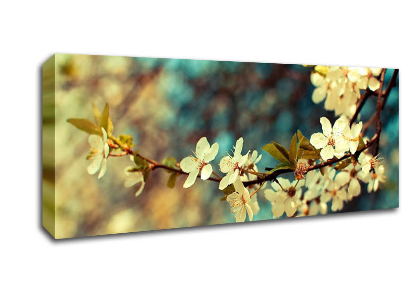 Picture of Beautiful Spring Day Panoramic Canvas Wall Art