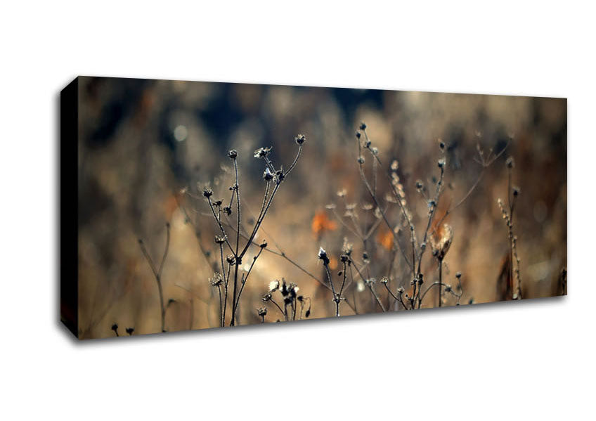 Picture of Autumn Just Before Winter Panoramic Canvas Wall Art