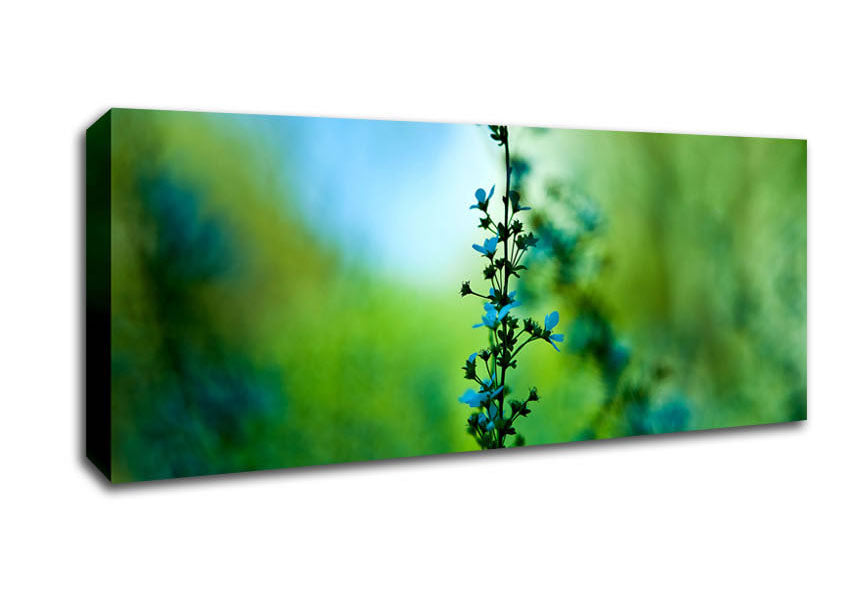 Picture of Blossom Blue Flower Panoramic Canvas Wall Art