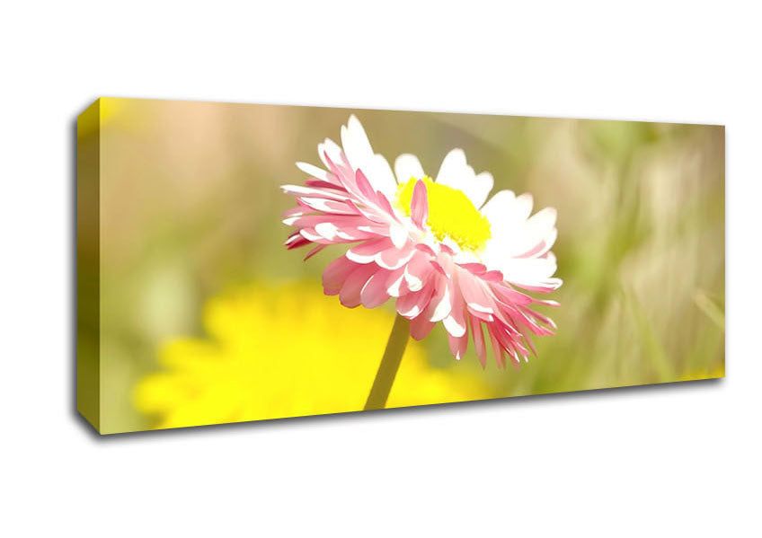 Picture of Beautiful Summer Pink Flower Panoramic Canvas Wall Art