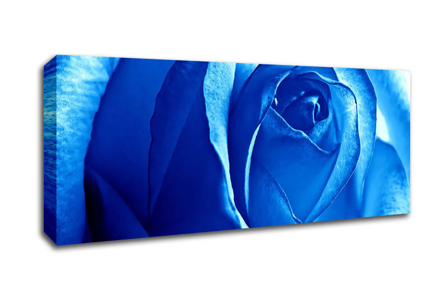 Picture of Blue Rose Panoramic Canvas Wall Art