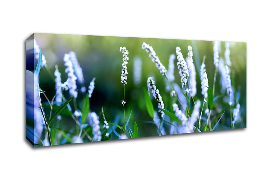 Picture of Bush Flowers Panoramic Canvas Wall Art