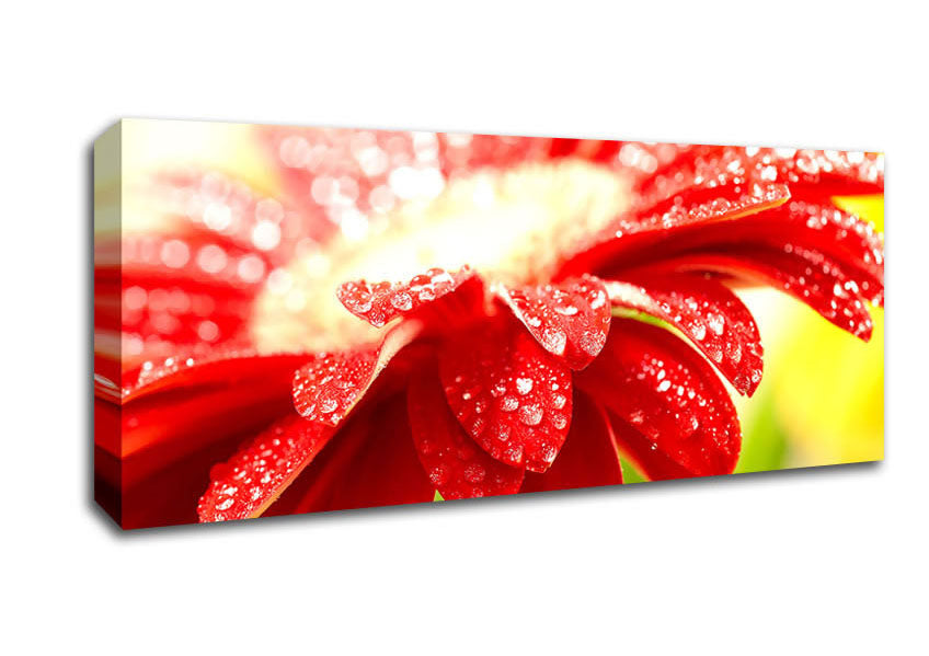 Picture of Amazing Red Flower Panoramic Canvas Wall Art