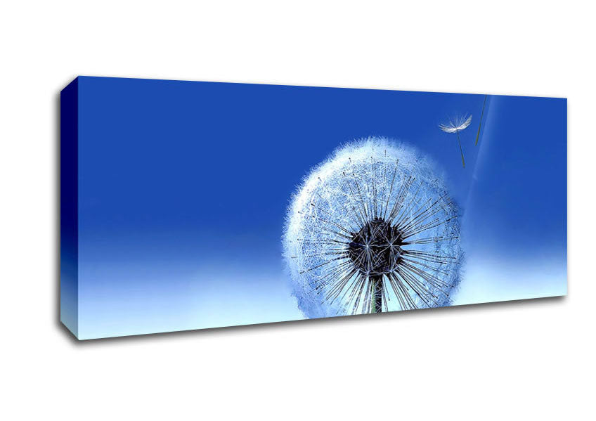 Picture of Wishes Going To Heaven Panoramic Canvas Wall Art