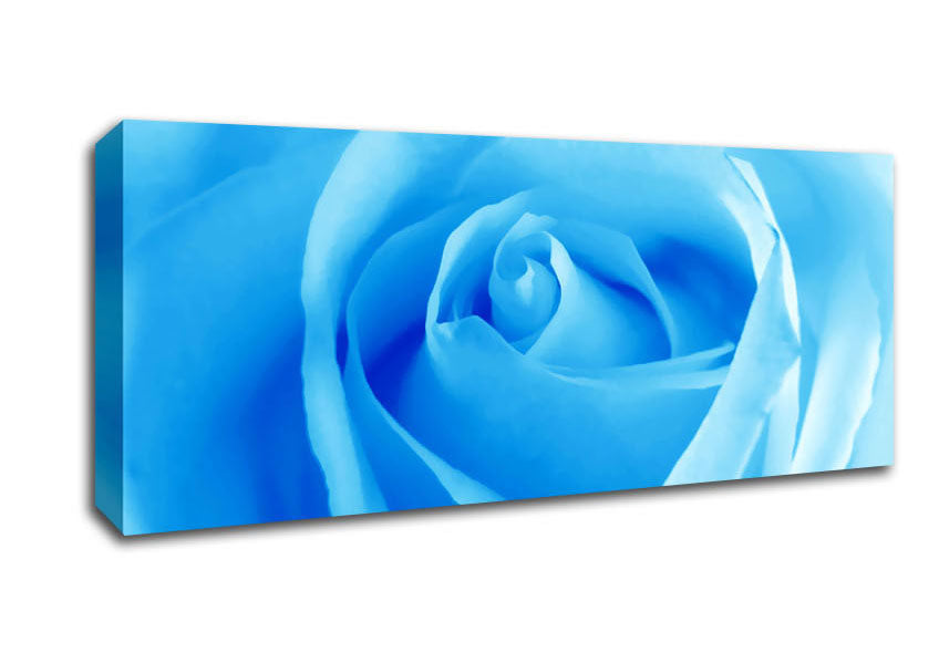 Picture of Baby Blue Rose Panoramic Canvas Wall Art