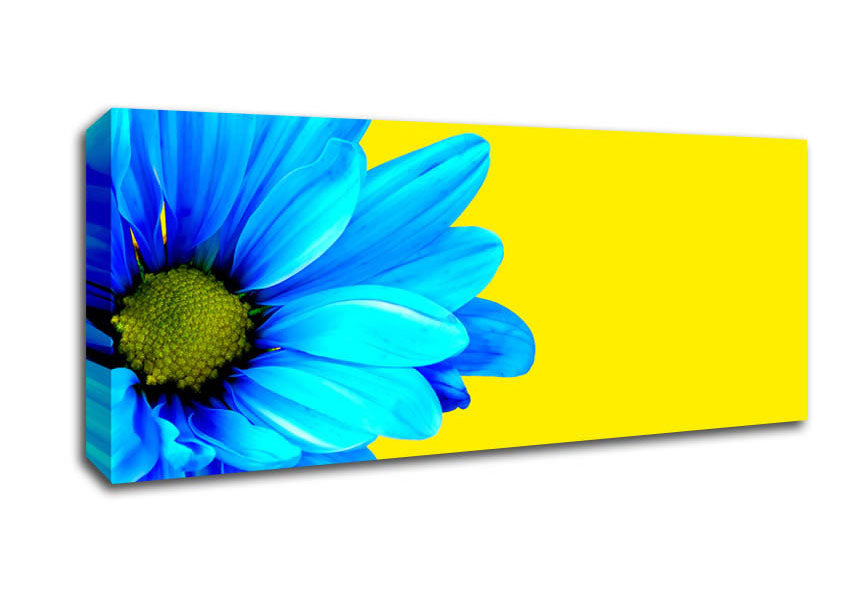 Picture of Blue Daisy On Yellow Panoramic Canvas Wall Art