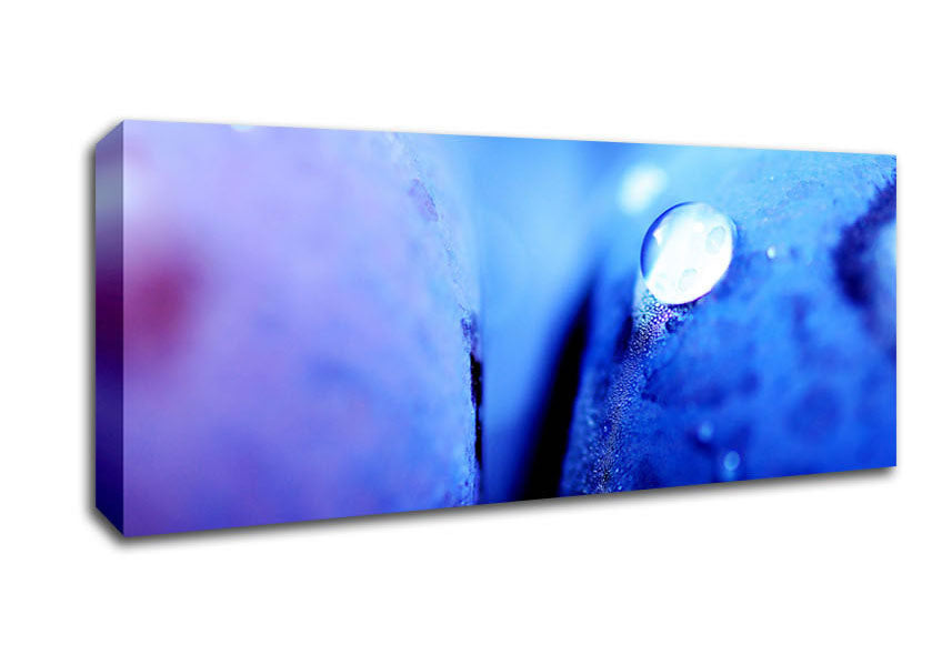 Picture of Blue Petal Water Droplet Panoramic Canvas Wall Art