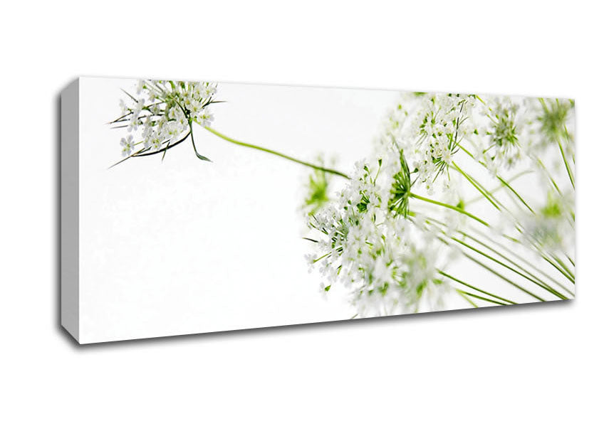 Picture of White On White Flowers Panoramic Canvas Wall Art