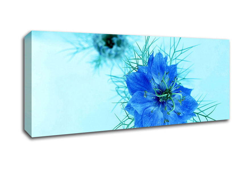 Picture of Blue On Blue Flower Panoramic Canvas Wall Art