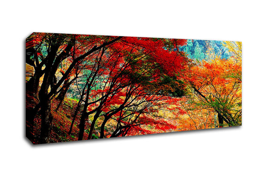 Picture of Autumn Tree Delight Panoramic Canvas Wall Art