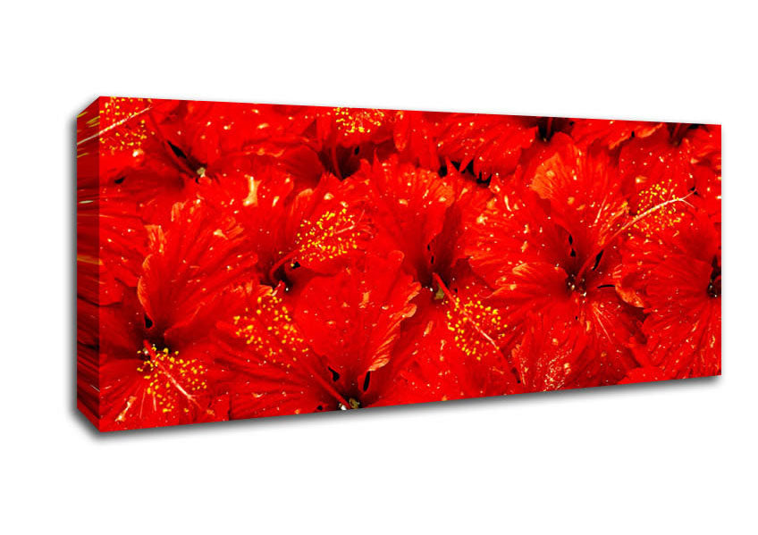 Picture of An Ocean Of Red Leaves Panoramic Canvas Wall Art