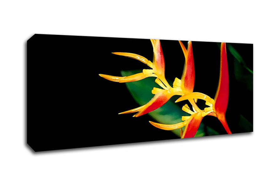 Picture of Bird Of Paradise In Sunlight Panoramic Canvas Wall Art