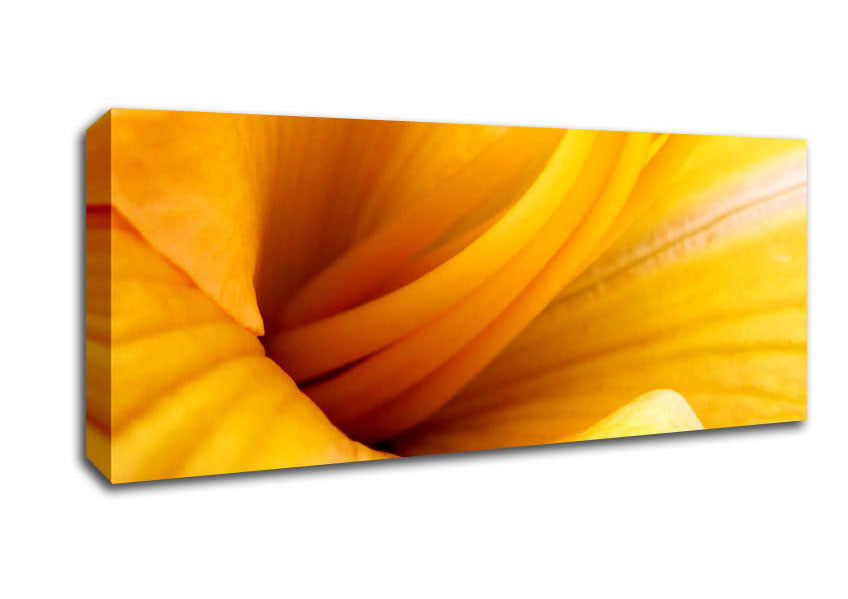 Picture of Yellow Trumpet Panoramic Canvas Wall Art