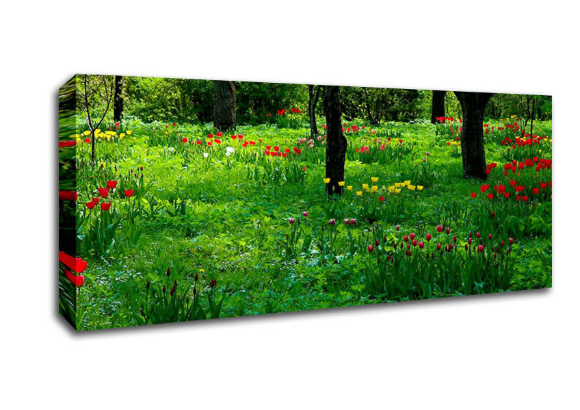 Picture of Tulip Woodland Panoramic Canvas Wall Art