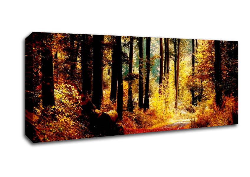 Picture of Forest Autumn Path Panoramic Canvas Wall Art