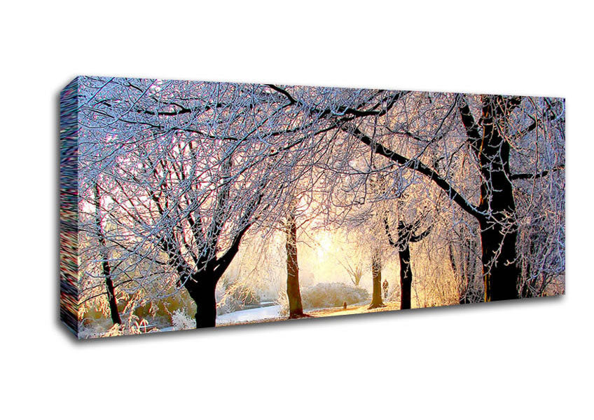 Picture of Beautiful Winter Light Panoramic Canvas Wall Art