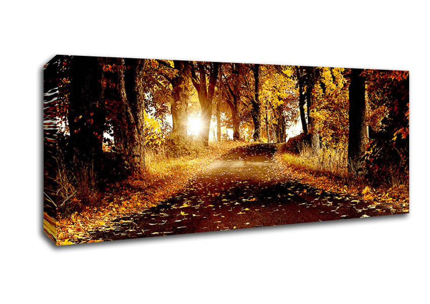 Picture of Autumn Golden Leaves Panoramic Canvas Wall Art