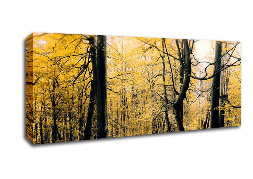 Picture of Alone In The Jungle Panoramic Canvas Wall Art