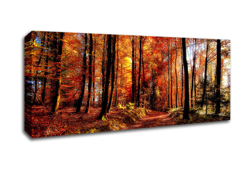 Picture of Fall Forest Path Panoramic Canvas Wall Art