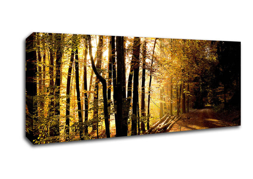 Picture of Beautiful Forest Road Autumn Panoramic Canvas Wall Art