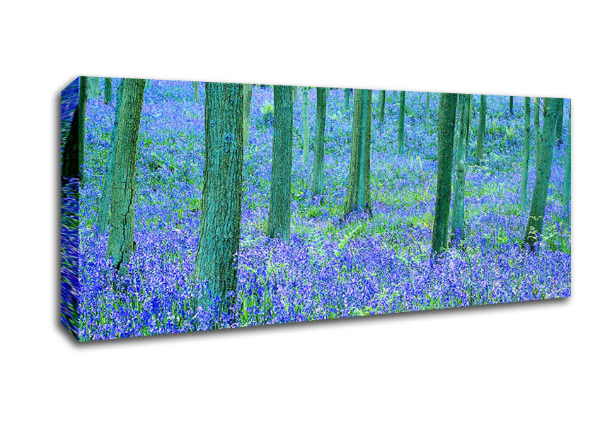 Picture of Bluebells In The Forest Panoramic Canvas Wall Art