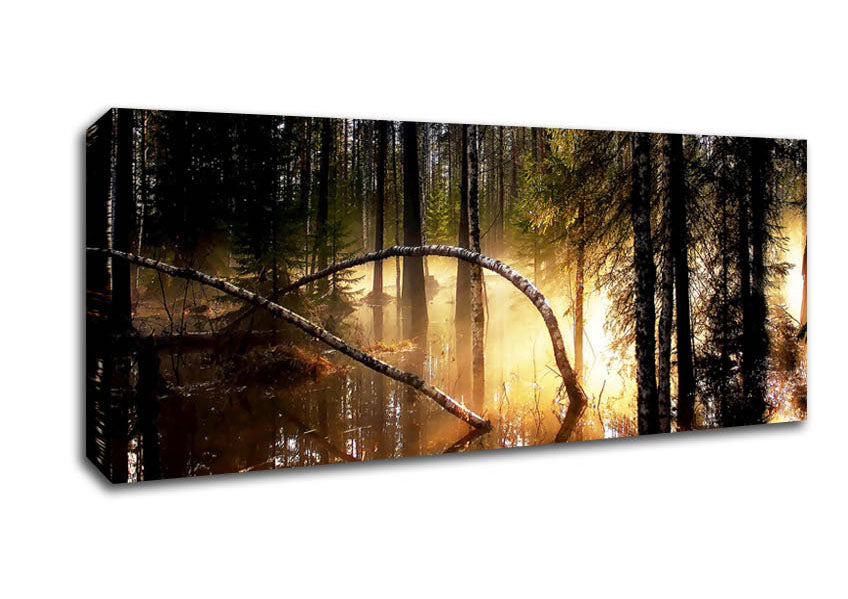 Picture of Swamp Forest Morning Mist Panoramic Canvas Wall Art