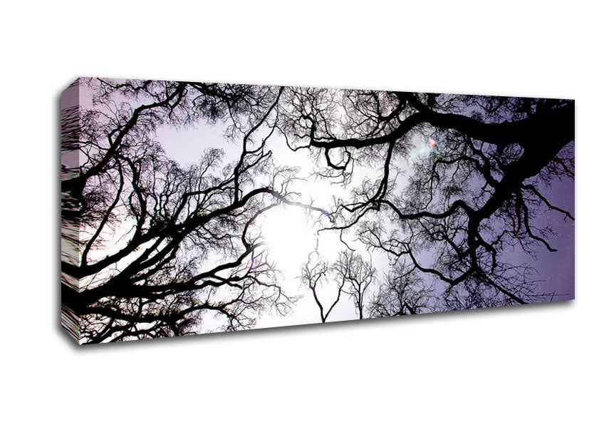 Picture of Reaching Arms Panoramic Canvas Wall Art