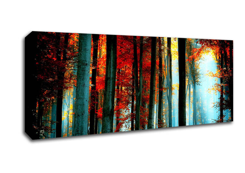 Picture of Blue Light Through The Orange Woodland Panoramic Canvas Wall Art