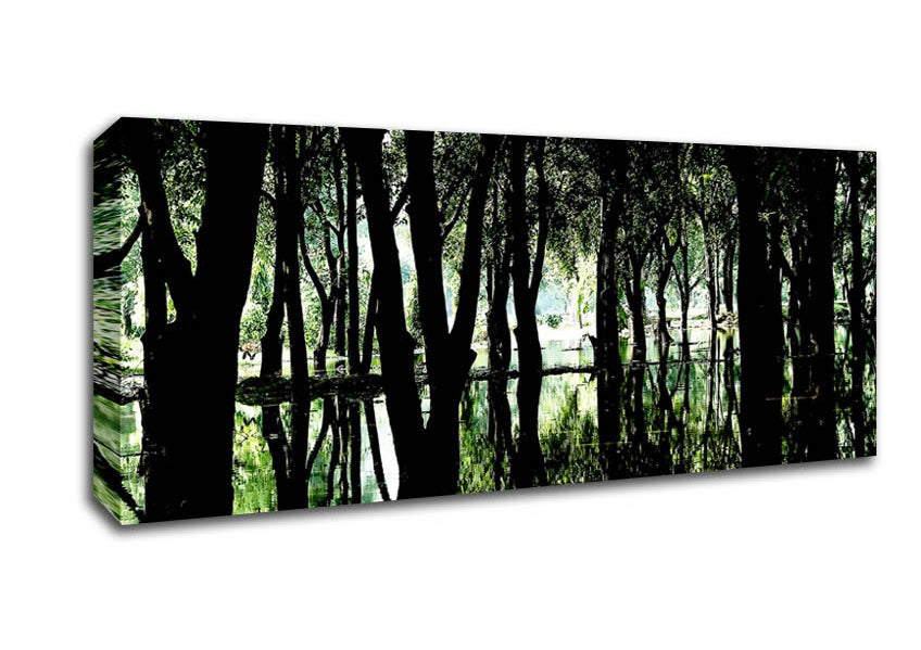 Picture of Swamp Forest Panoramic Canvas Wall Art