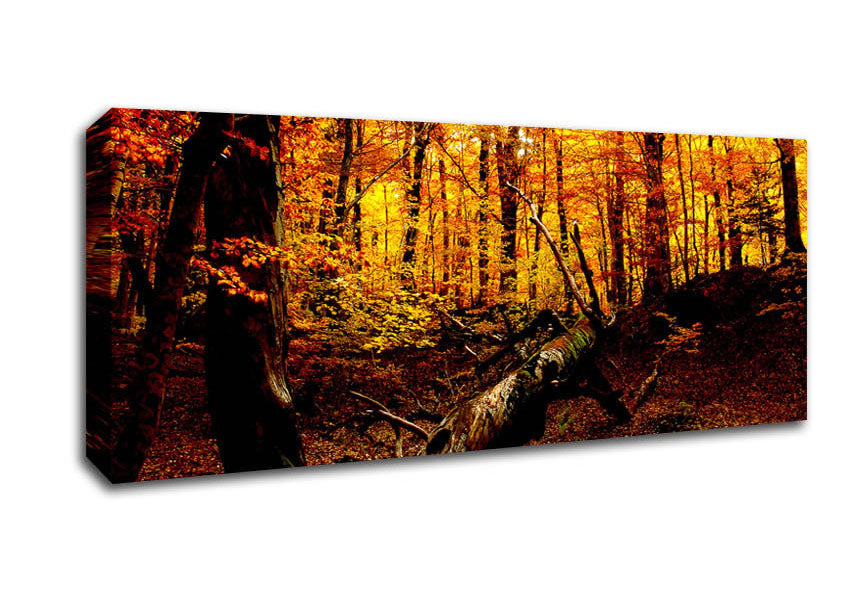 Picture of Autumn Forest Seat Panoramic Canvas Wall Art