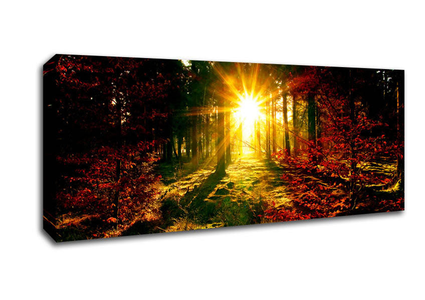 Picture of The Beaming Forest Sun Panoramic Canvas Wall Art