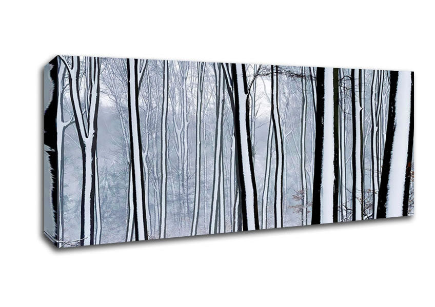 Picture of Forest Snow Trees Panoramic Canvas Wall Art