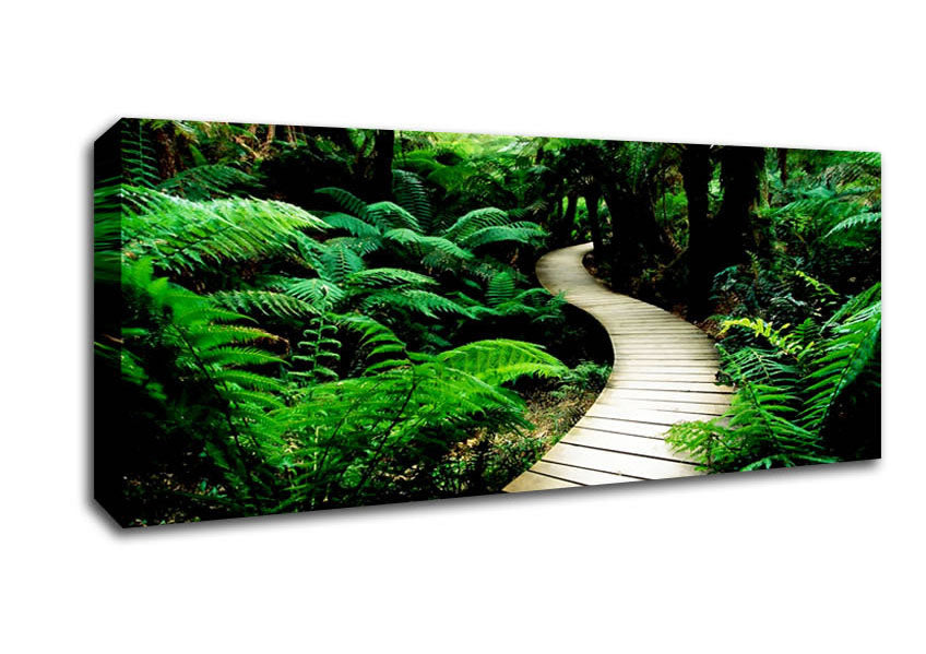 Picture of Rainforest Walk Panoramic Canvas Wall Art