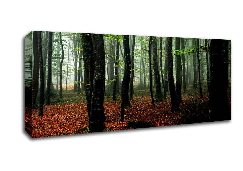 Picture of Emerald Forest Hide Away Panoramic Canvas Wall Art