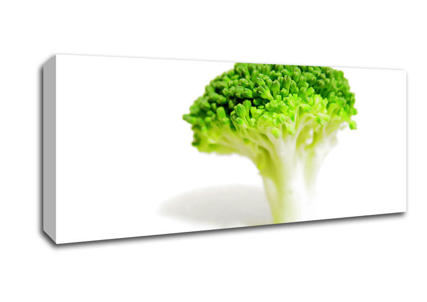 Picture of Brocolli Stem Panoramic Canvas Wall Art