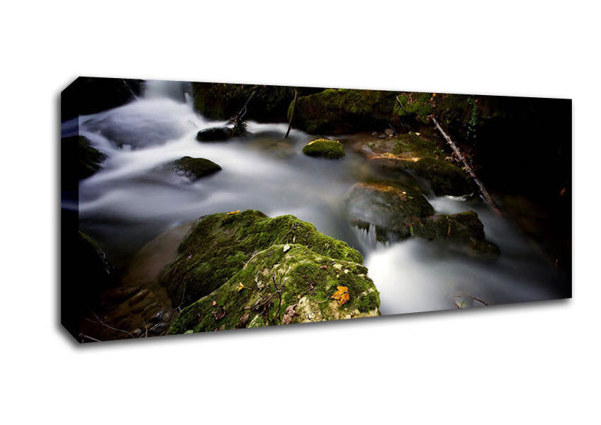 Picture of Forest Mist Creek Panoramic Canvas Wall Art